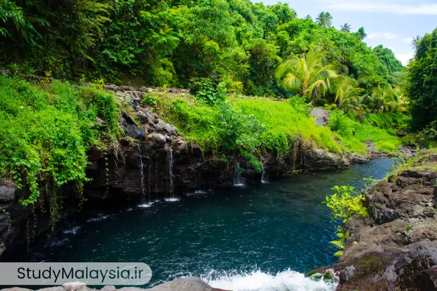 دره دانوم: حیات وحش شگفت‌انگیز در قلب جاهای دیدنی مالزی
