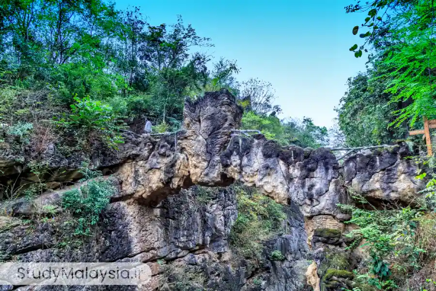 غارهای مولو: شگفتی‌های زیرزمینی در میان جاهای دیدنی مالزی