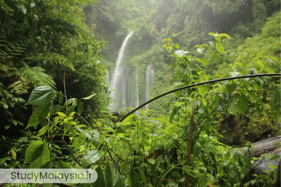 طبیعت بکر و جاذبه‌های گردشگری