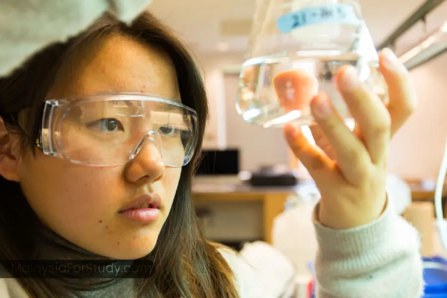 بهترین مدارس ژاپن (Japan)