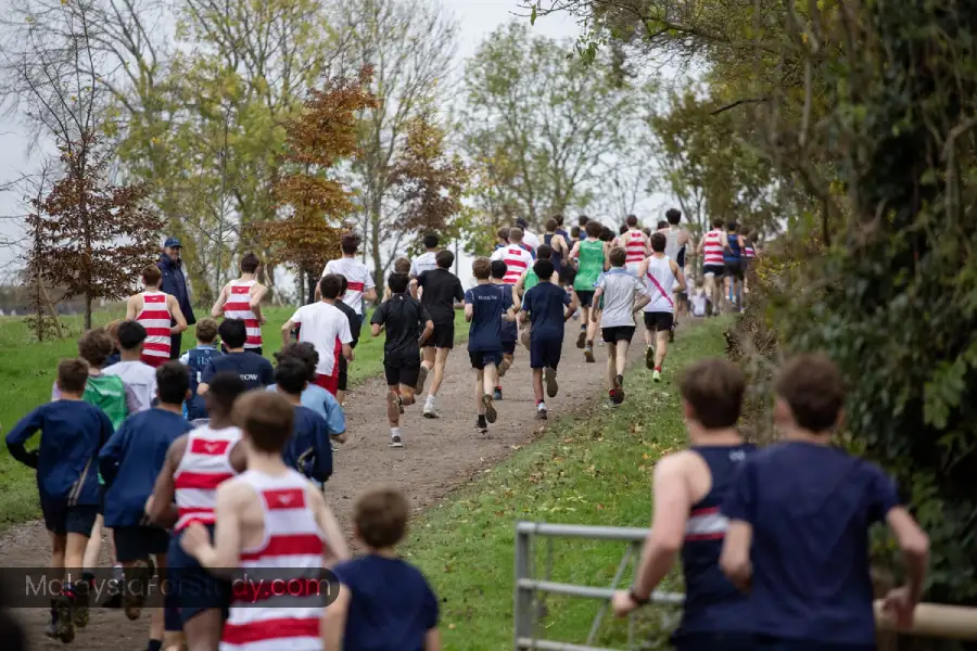 بهترین مدارس ژاپن (Japan)