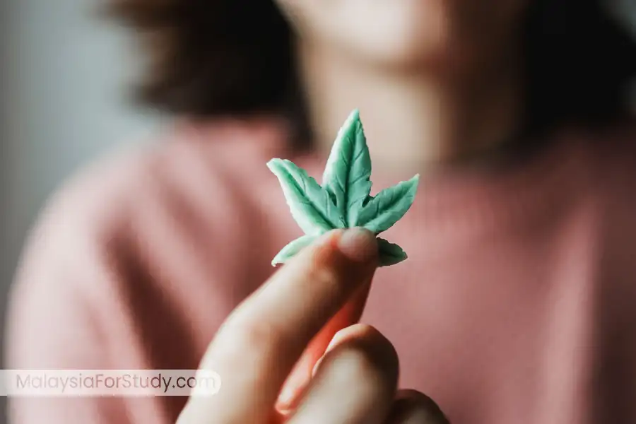 شرایط زندگی و کار پرستاران در مالزی